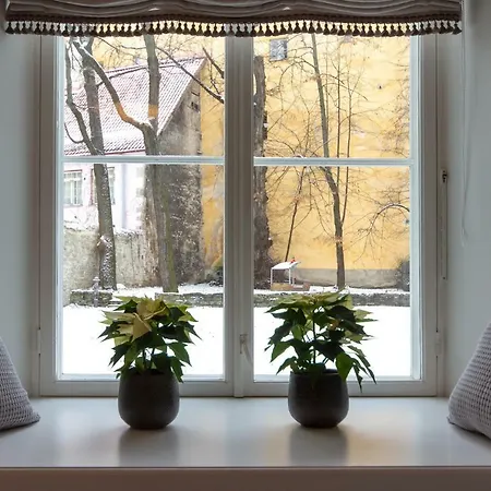 Exclusive Charm Of The Old Tallinn