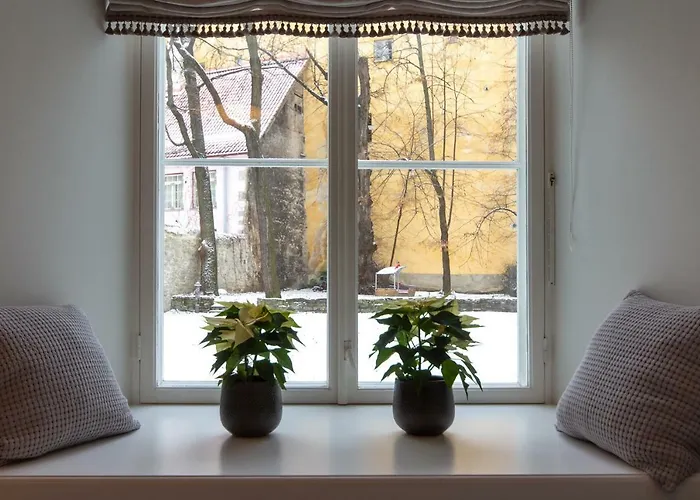 Exclusive Charm Of The Old تالين